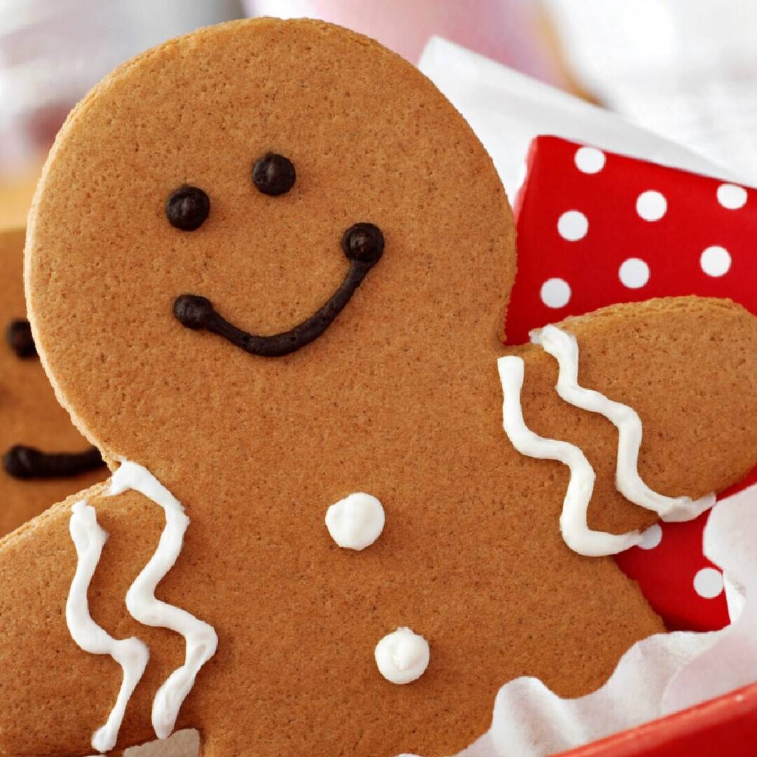 Smiling gingerbread cookie decorated with icing and chocolate chips.
